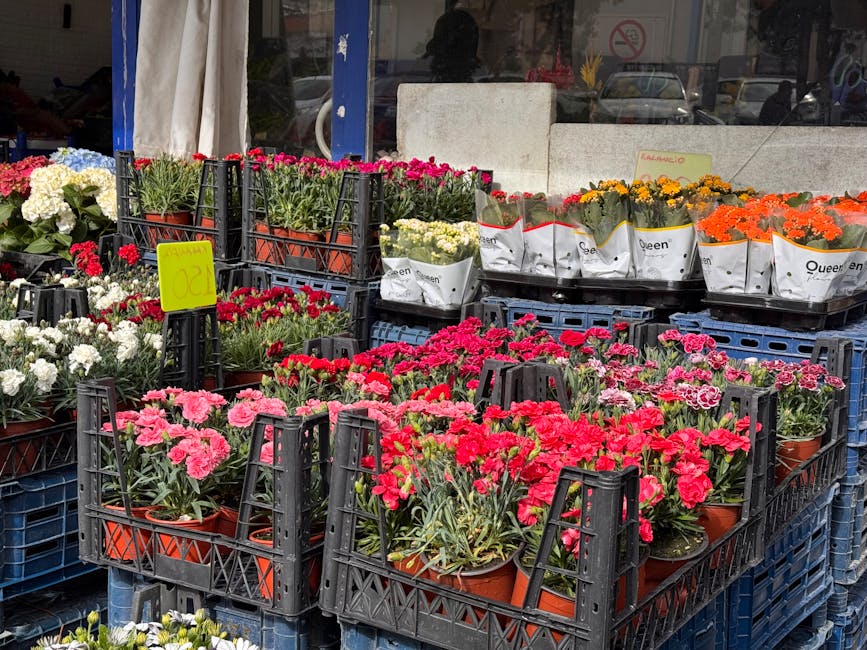 An outdoor display of vibrant potted flowers, primarily in shades of pink, red, white, yellow, and orange, arranged in black plastic crates and white paper packaging labeled 'Queen'. The flowers inclu