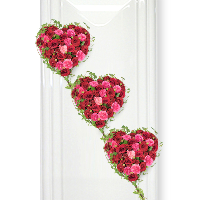 In this refined funeral tribute, three heart-shaped floral designs appear to float gently down a clean white backdrop, forming a diagonal cascade reminiscent of falling petals or a slow, graceful descent. Each heart is entirely composed of roses, layered so tightly that no gaps of foliage show through the surface. The colour palette centres on deep, romantic reds mingled with bright, joyful fuchsia and soft, affectionate blush pink, capturing a full spectrum of love-from intense devotion to gentle care. The roses are in different stages of bloom, some firm and closed like promises never forgotten, others fully open with generous, curving petals that seem to cradle the light. Around the edge of every heart, a delicate garland of slender ivy winds in precise arcs, the small green leaves introducing a natural, slightly wild note to the controlled heart shapes. These ivy strands continue downwards, linking one heart to the next so the entire piece reads as a single flowing statement of remembrance. The background is a smooth, bright white plane-perhaps a display wall inside a calm, contemporary chapel or a light-filled florist studio near Tottenham's quiet residential streets around West Green Road. The neutral setting allows the roses to dominate the scene, their colours appearing almost luminous under the clear, even lighting. Subtle shadows suggest depth without interrupting the tranquillity of the composition. This triple-heart arrangement would be an especially meaningful choice for a family tribute in Tottenham, where multiple generations might wish to say goodbye together, each heart symbolising a different loved one or stage of a life beautifully lived and fondly remembered.