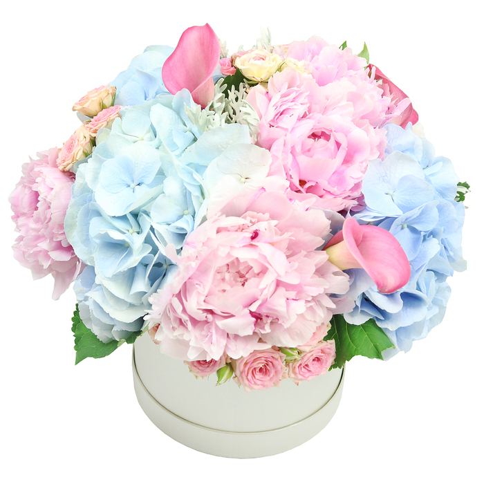A stunning and luxurious floral arrangement sits centrally in an elegant light grey matte round hatbox, its soft tones set against a clean white backdrop. The bouquet is densely packed, a romantic blend of pastel pinks and soft baby blues that creates a voluminous, couture-worthy display. The most prominent flowers are the large, fluffy pink peonies, their multitude of ruffled petals gathered in blush and delicate rose tones. Interspersed among them are clusters of voluminous baby blue hydrangeas, their intricate florets adding a delicate airy texture and a cool counterpoint to the warm pinks. Two vibrant pink calla lilies rise like candle flames above the mass, their trumpet shapes lending dramatic vertical lines. Nestled closer to the rim are delicate clusters of tightly budded, soft pink spray roses, adding layers of texture and a classic, intimate touch. Silvery foliage-dusty miller perhaps-and fresh green leaves peek through, providing depth and a natural, garden-fresh feel. This refined, opulent arrangement suits weddings, anniversaries, or grand birthdays, and it pairs beautifully with event decor or sophisticated home settings. In Tottenham's leafy quarters-Seven Sisters, Bruce Grove, and near Bruce Castle Park-the bouquet is crafted with care by a local expert, available for timely delivery to nearby homes and venues. It's a testament to the craft of a seasoned Tottenham florist, designed to linger in memory as a symbol of romantic celebration.