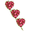 Three lush heart-shaped floral tributes appear to float in a gentle diagonal line from the top left corner to the lower right, their vivid colours set off by a spotless white background. Each heart is formed entirely of roses, packed closely together in rich shades of deep red, burgundy, and scarlet, blended with lively pink tones from bright fuchsia and cerise to delicate blush and coral. The roses differ in maturity, with firm buds, half-open blooms, and fully unfurled flowers nestled side by side, creating a sense of movement and depth inside every heart. Around the edges, deep green ivy wraps and curls, framing the shapes in soft, undulating lines, then stretching out to connect each heart to the next. The ivy's winding stems and shiny leaves act like a living ribbon, symbolically tying the tributes together into a single, flowing gesture of remembrance. The overall impression is both romantic and reverent, as if the design were created to honour a life filled with love and shared moments. In Tottenham, this style of triple heart arrangement might be placed alongside a coffin at a funeral service or displayed at a memorial gathering in a hall near Lordship Lane, offering a comforting focal point for family and friends. The uncluttered white setting helps the eye, or imagination, focus on the intricate workmanship: layers of velvet-soft petals, the contrast of greens and reds, and the tender message of three hearts enduring side by side.